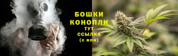 гашик Богородицк