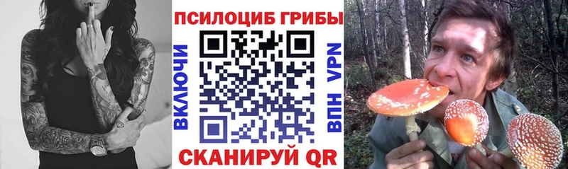 дарк нет официальный сайт  Пересвет  Галлюциногенные грибы GOLDEN TEACHER 